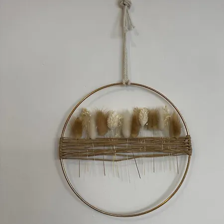 Brawa Erlebnis Region Europa Park Schwarzwald Badespass Rulantica Apartment