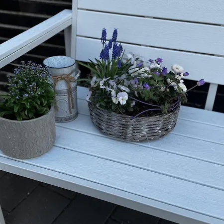 Appartement Oswald Ettenheim