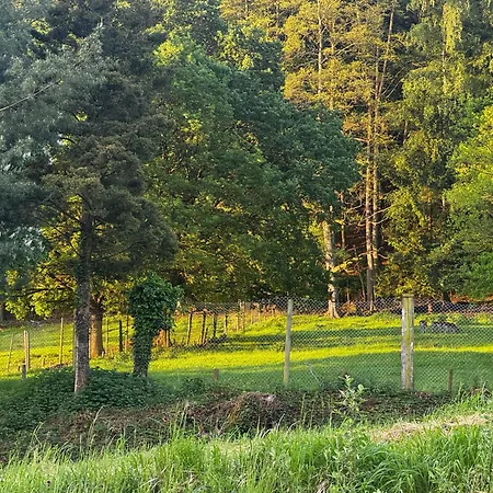 Brawa Erlebnis Region Europa Park Schwarzwald Badespass Rulantica Ettenheim